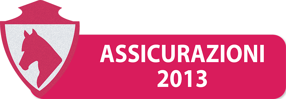 ASSICURAZIONI-2013