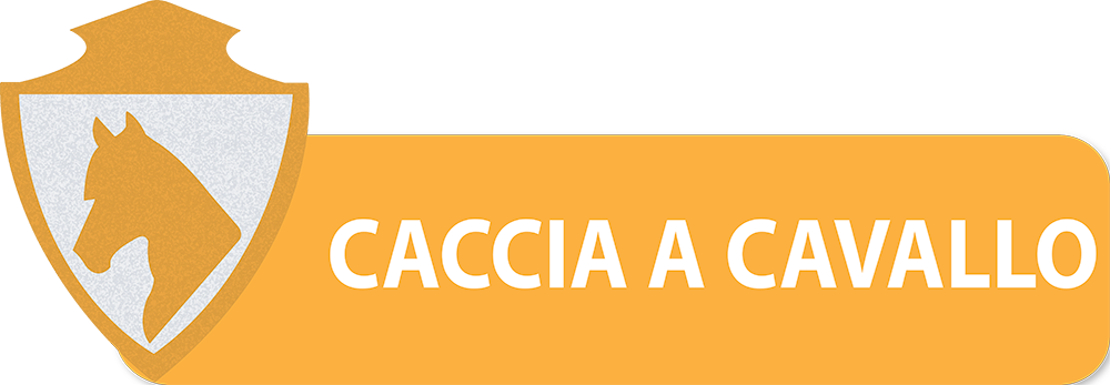 PULSANTI-SITO-DIPARTIMENTI-SEF-ITALIA-CACCIA-A-CAVALLO