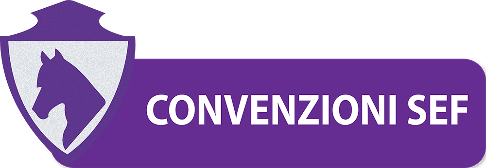 CONVENZIONI-SEF