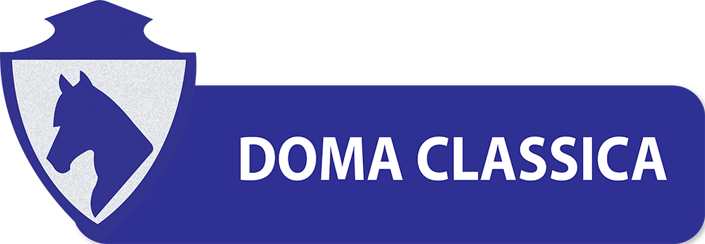 PULSANTI-SITO-DIPARTIMENTI-SEF-ITALIA-DOMA-CLASSICA