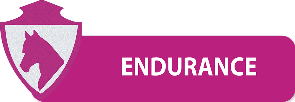 PULSANTI-SITO-DIPARTIMENTI-SEF-ITALIA-ENDURANCE