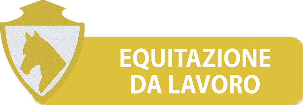 PULSANTI-SITO-DIPARTIMENTI-SEF-ITALIA-EQUITAZIONE-DA-LAVORO