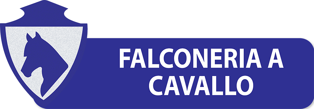 PULSANTI-SITO-DIPARTIMENTI-SEF-ITALIA-FALCONERIA-A-CAVALLO