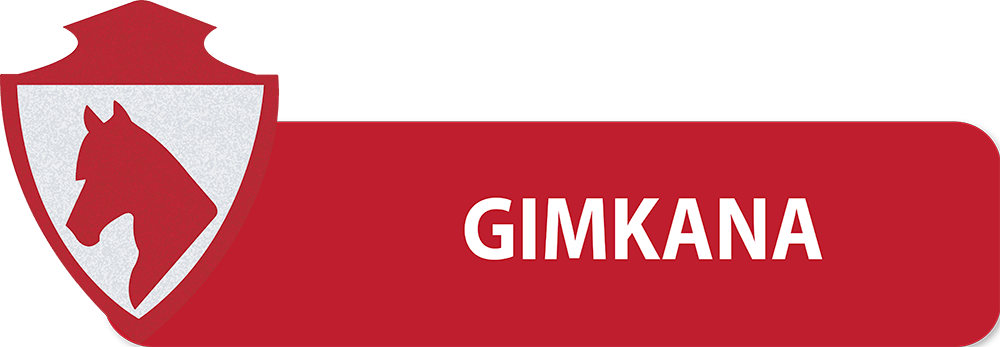 PULSANTI-SITO-DIPARTIMENTI-SEF-ITALIA-GIMKANA