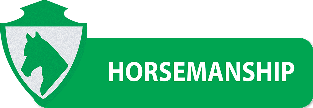 PULSANTI-SITO-DIPARTIMENTI-SEF-ITALIA-HORSEMANSHIP