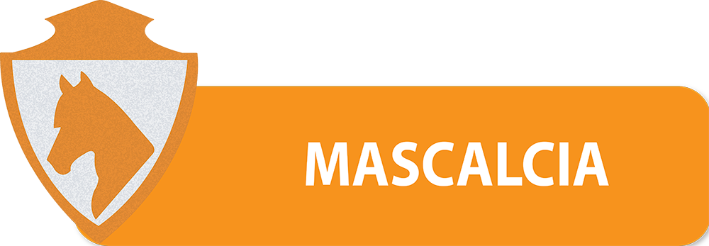 PULSANTI-SITO-DIPARTIMENTI-SEF-ITALIA-MASCALCIA