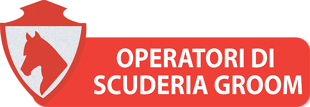 PULSANTI-SITO-DIPARTIMENTI-SEF-ITALIA-OPERATORI-DI-SCUDERIA-GROOM