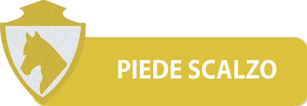 PULSANTI-SITO-DIPARTIMENTI-SEF-ITALIA-PIEDE-SCALZO