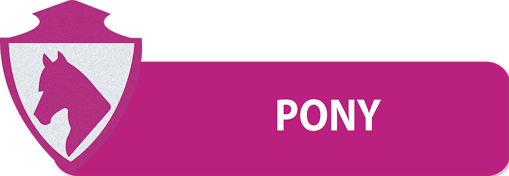 PULSANTI-SITO-DIPARTIMENTI-SEF-ITALIA-PONY