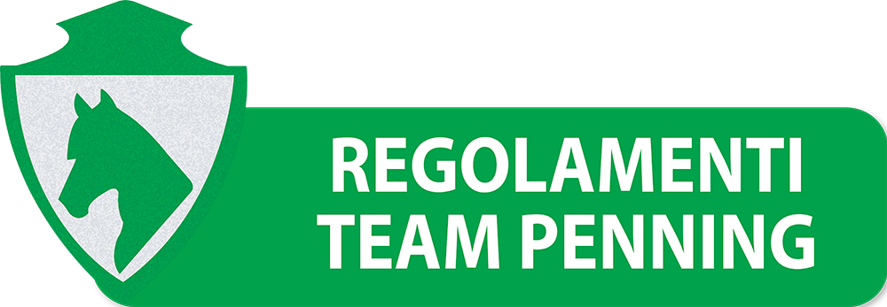 REGOLAMENTI-TEAM-PENNING