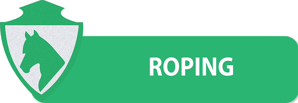 PULSANTI-SITO-DIPARTIMENTI-SEF-ITALIA-ROPING
