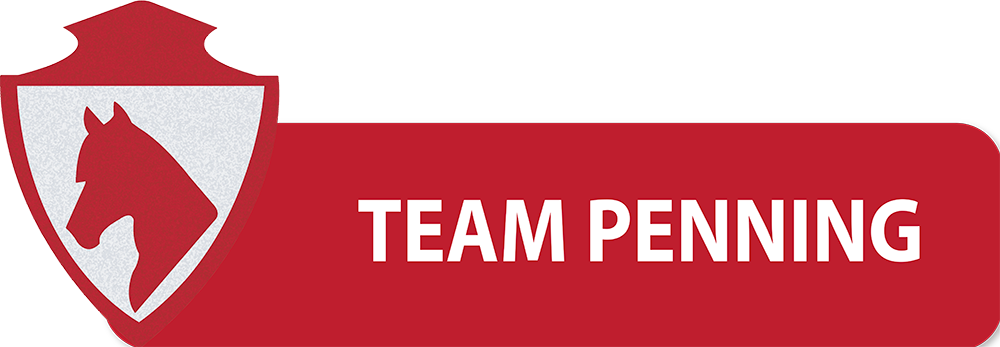 PULSANTI-SITO-DIPARTIMENTI-SEF-ITALIA-TEAM-PENNING