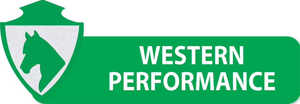 PULSANTI-SITO-DIPARTIMENTI-SEF-ITALIA-WESTERN-PERFORMANCE
