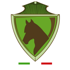 cropped-logo_tondo_sef_per-web.png