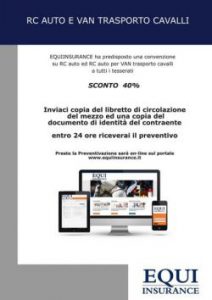 rc-auto-e-van_1-07210091