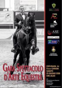 arte_equestre_-a9754c8f