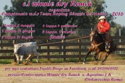 campionato-sef-08507781