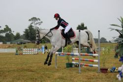 horse-jumping-cab49ded