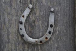 horseshoe-239901_1280-03f33e6e