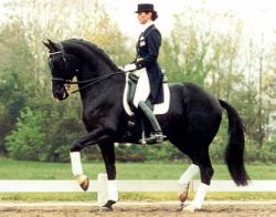 olympicferro-eba08c98