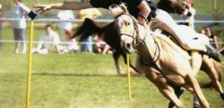 ponygames-833aea7f