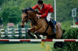 salto-ostacoli-8ced8798