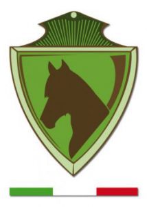 solomarchio-655cf1c6