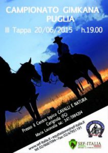 3_tappa_gimkana_puglia_2015-be55872d