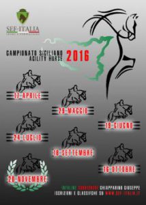 agilityhorse-locandina-2016-5a8ff8b6