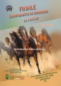 finale-campionato-gimkana-e3813329