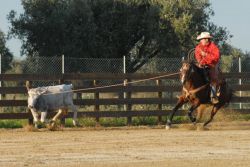 team_roping_classic-0c326acb