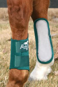 horse_boots_protections_-752b306a
