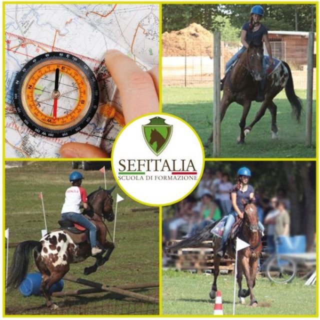 presentazione-trec-definitivo-9403224e