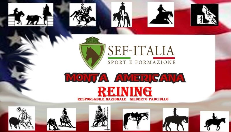 reining