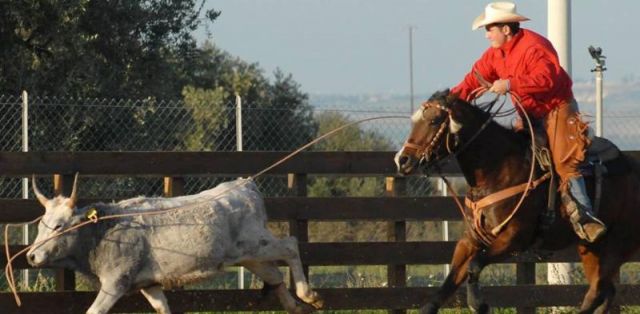 team_roping-c9f951ca