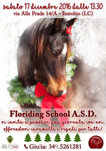 floriding-school-asd_locandina-natale