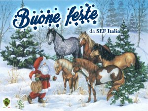 babbo-natale-con-cavallo-copia