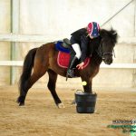 FILE_AMF_1266