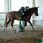 FILE_AMF_1585