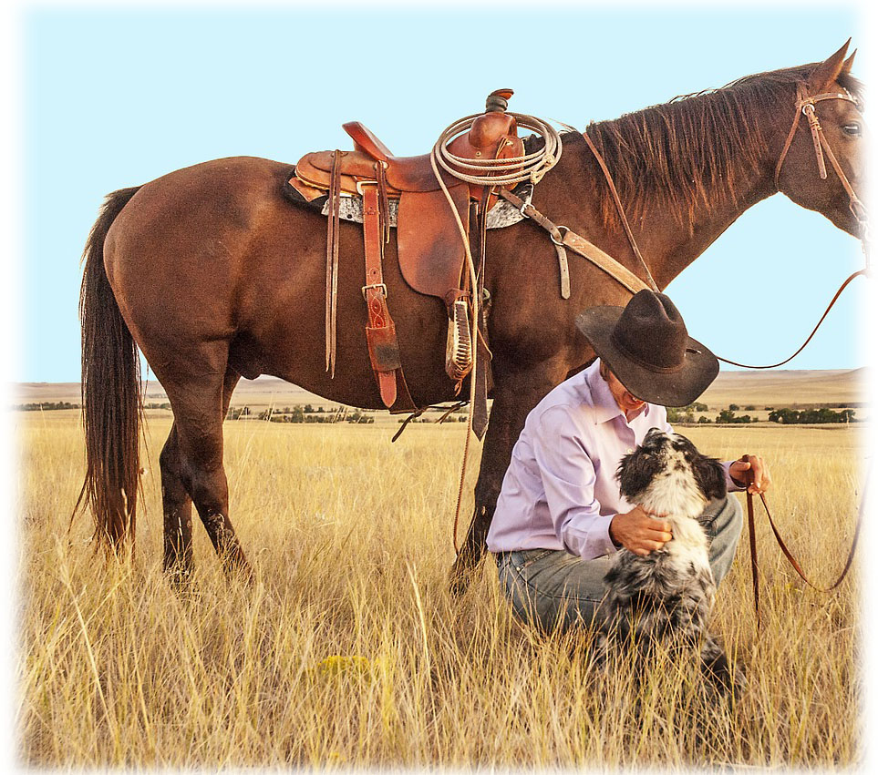 La sella e il pomolo del cow-boy - SEF Italia