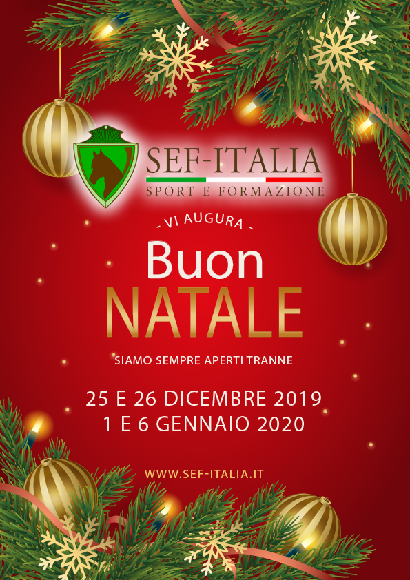 Buon Natale Italia.Sef Italia Vi Augura Un Buon Natale Sef Italia